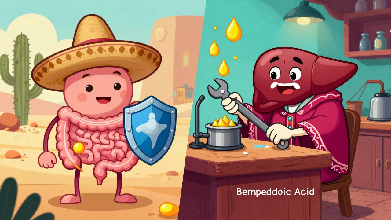 Illustration cartoon du mécanisme intestinal et hépatique des médicaments